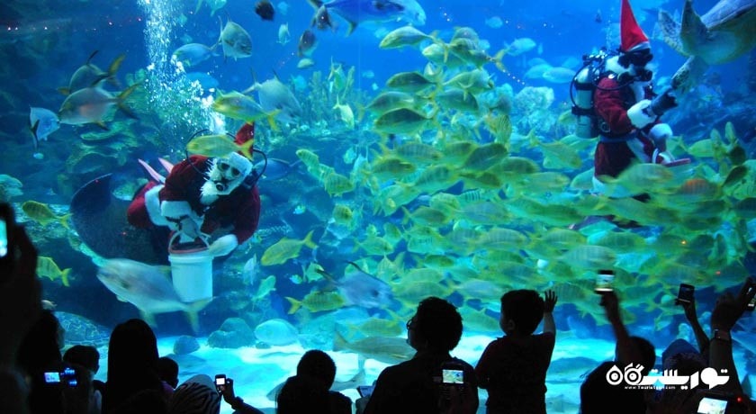 سرگرمی آکوآریا کی ال سی سی شهر مالزی کشور کوالالامپور